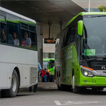 Irodát nyitott Budapesten az olcsó buszjáratok királya