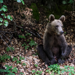 Szokatlanul meleg idő várható ma, de napsütés nélkül