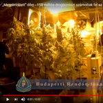 Videó: 150 milliónyi drogot és egy kisebb kannabiszerdőt találtak a budafoki dílernél