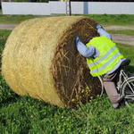 Út melletti szalmabábhoz hívta ki valaki a mentőket