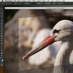 Photoshop CS6 beta - már félmillió letöltés