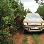 Ford Ranger teszt: kemény fickó