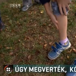 Autista unokatestvérét próbálta védeni a Berkeszen megvert 11 éves fiú