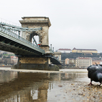 Nem valószínű, hogy elönti az ár a budapesti rakpartokat