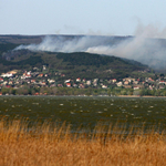 Erdőtűz a Balatonnál: eloltották a lángokat