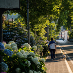 Ismerje meg a 15 perces várost, imádni fogja