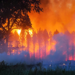 Meghalt egy ember a Soltszentimrénél tomboló tűzben