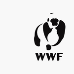 Átalakul a panda a WWF-nek tervezett mozgó logóban