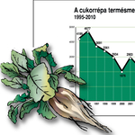 VG: brazil nádcukorral enyhítik a magyar cukorhiányt