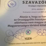 A kormányközeli Századvég kiszámolta, kik szavaztak érvénytelenül vasárnap