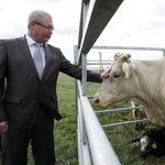 Egy év múlva már Debrecenben működhet az agrártárca