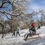 Megrohanta a Normafát a nép, csurig megteltek a parkolók