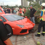 Felmászott a pálmafára egy Lamborghini Aventador