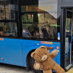 Buszokkal szállították el a Kocson utcára tett kárpátaljai menekülteket