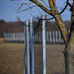 Elbontják a kerítést januártól a horvát-magyar határon