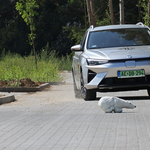 Világelső elektromos kombi: jegesmedve-tesztre fogtuk az új MG5-öt