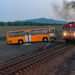 A MÁV alá rendelték a Volánbuszt