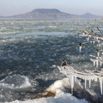 Lehet, hogy a hétvégén már lehet korizni a Balatonon – egy rókát már elbír a jég