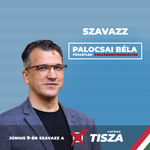 Törvénysértő volt, hogy a Tisza Párttal reklámozta magát a független exmomentumos