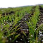 Nekiment Márki-Zay földadójának az Agrárminisztérium