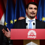 Mesterházy lemondott az MSZP vezetéséről