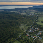 Tiborczék terjeszkednek a Balaton-felvidéken