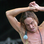 Meztelenül pózolt Iggy Pop