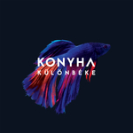 "Egy kotyogós kávé egy motyogós reggelen" - Konyha albumpremier a hvg.hu-n