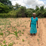 Afrika a világ éléstára lehetne, de egyre súlyosabb éhínséggel küzd