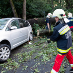 Közel 200-szor riasztották a tűzoltókat a csütörtöki vihar miatt