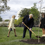 Trumpot lehetetlennek tűnik meggyőzni Irán-ügyben