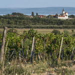 Szabad préda a Balaton-felvidék? Hatalmas beruházásra készül Dörgicsén a magyar McDonald's-tulajdonos