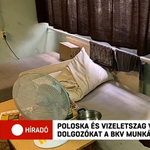 Poloska és vizeletes matrac várja a BKV munkásszállójára érkezőket