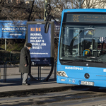 Patkánynak és hülyegyereknek nevezte egy kerekesszékes utas kísérőjét a buszsofőr, a BKK bocsánatot kért az ügyben