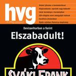 HVG: Tükörbankot vesz az állam