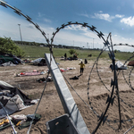 Öt évig dolgoztatni, majd hazazsuppolni – ilyen pofonegyszerű lenne a megoldás az európai migrációs gondokra?