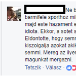 Válaszolt az Emmi házi trollja ügyében