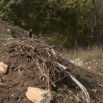 Nem akarnak hulladékfeldolgozót a félezres lakosságú Aszófőn