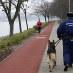 Szatírparadicsom lett a Margitsziget