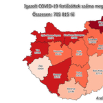 Koronavírus: 285-en meghaltak, 11 ezer ember fekszik kórházban