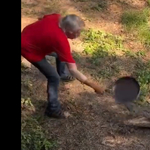 Serpenyővel verte el a krokodilt az ausztrál kocsmáros – videó