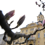 Biomassza-erőmű és simicskázás miatt áll a bál Szegeden