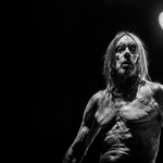 Nem csak a farokméregetés miatt különleges Iggy Pop új nagylemeze