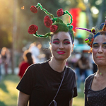 A Sziget ugyanolyan, mint tavaly, és ez így van rendjén