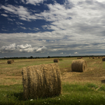 Az Agrárkamara tisztújításán a Fidesz diktál, de egyelőre nincs jele annak, hogy teljesítené az agrárbárók régi vágyát