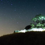 Zavargástól az állati test bomlásáig - minden belefért ebbe a lenyűgöző time-lapse videóba