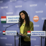 A Fidesz a „provokátorfigyelő” szellemi anyját indítja parlamenti mandátumért
