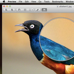 Lion tipp: nagyító a Preview-ban