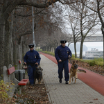 Budapesti lakos a margitszigeti támadó