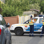 Meglőttek egy rendőrbe kést vágó férfit Budakalászon